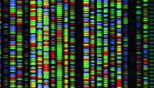 dna