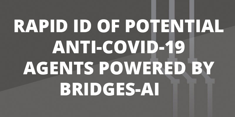rapid-id
