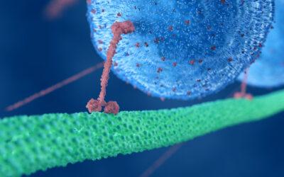 High School Students Study Nanotechnology, AI Heart Disease Detection Using Bridges-2