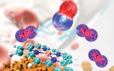 Corrected Numbers Allow Accurate Simulation of Oxygen Kicking Carbon Monoxide out of Hemoglobin