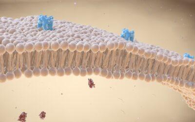 Hidden Order in “Intrinsically Disordered” Proteins Drives Critical Messaging in Cell