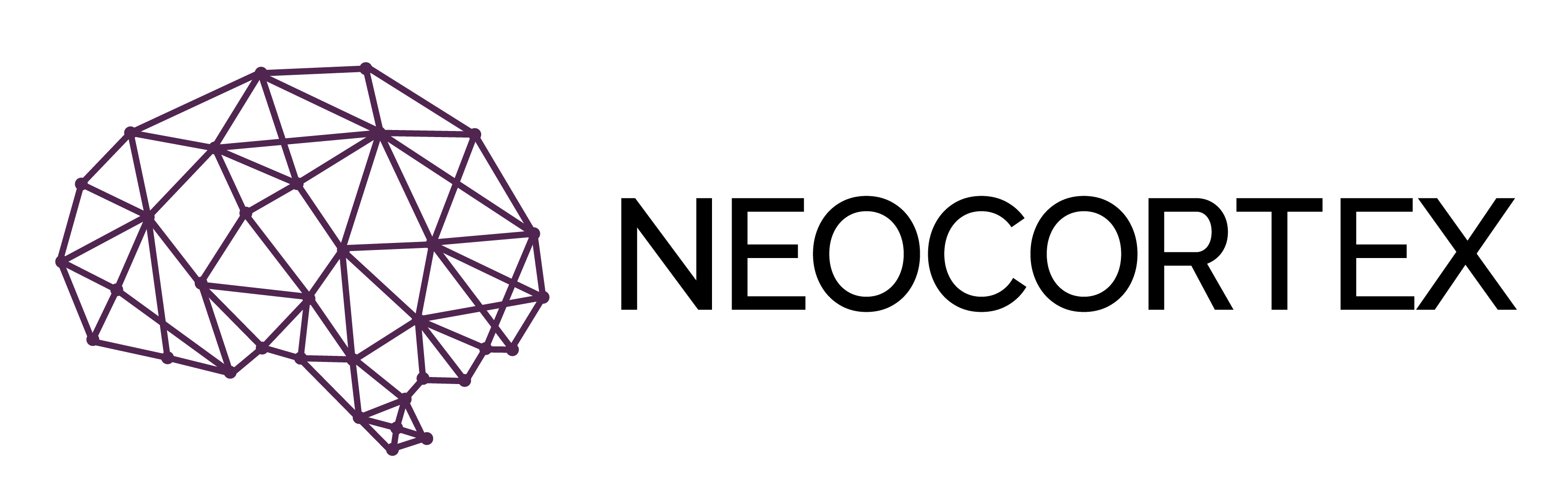 Logo with stylized brain symbol: "Neocortex"