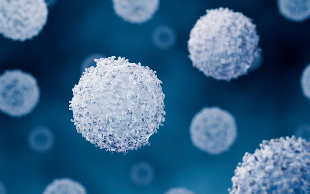 Surprising Electrical Charge Shifts Reveal Better Target for Immune Therapies