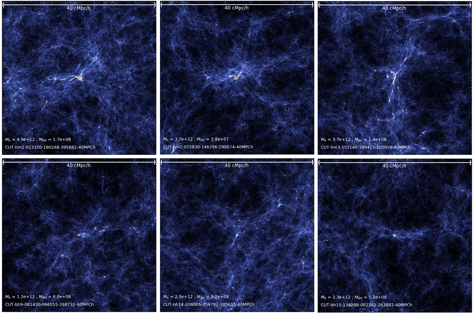 A web-like tangle of blue on a black background, signifying a view of some 40 cMpc/h sub-regions centered at some massive halos (upper panels) and massive BHs (lower panels) in BlueTides simulation at z=6.5. The image shows the gas density field color coded by temperature.