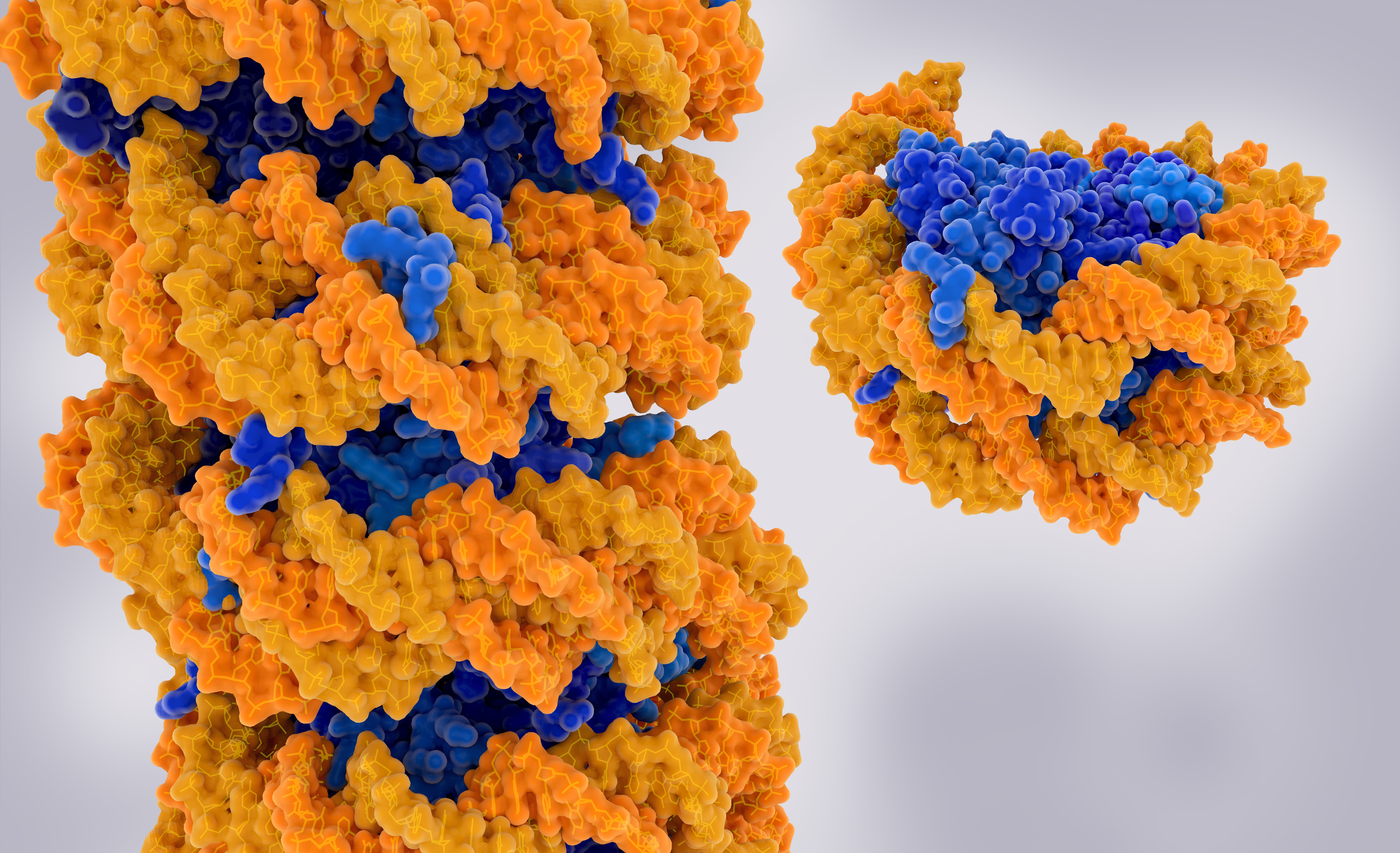 3d illustration of DNA helixes wrapping around nucleosomes