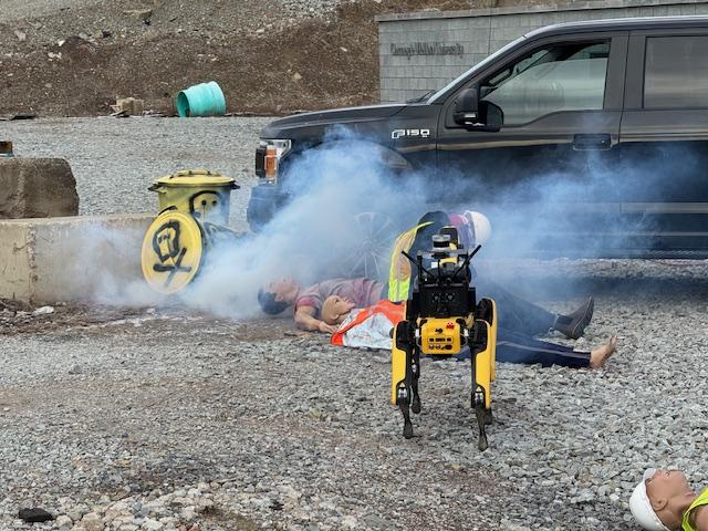 A researcher and a 4 legged robot approach emergency rescue test dummies in a training exercise.
