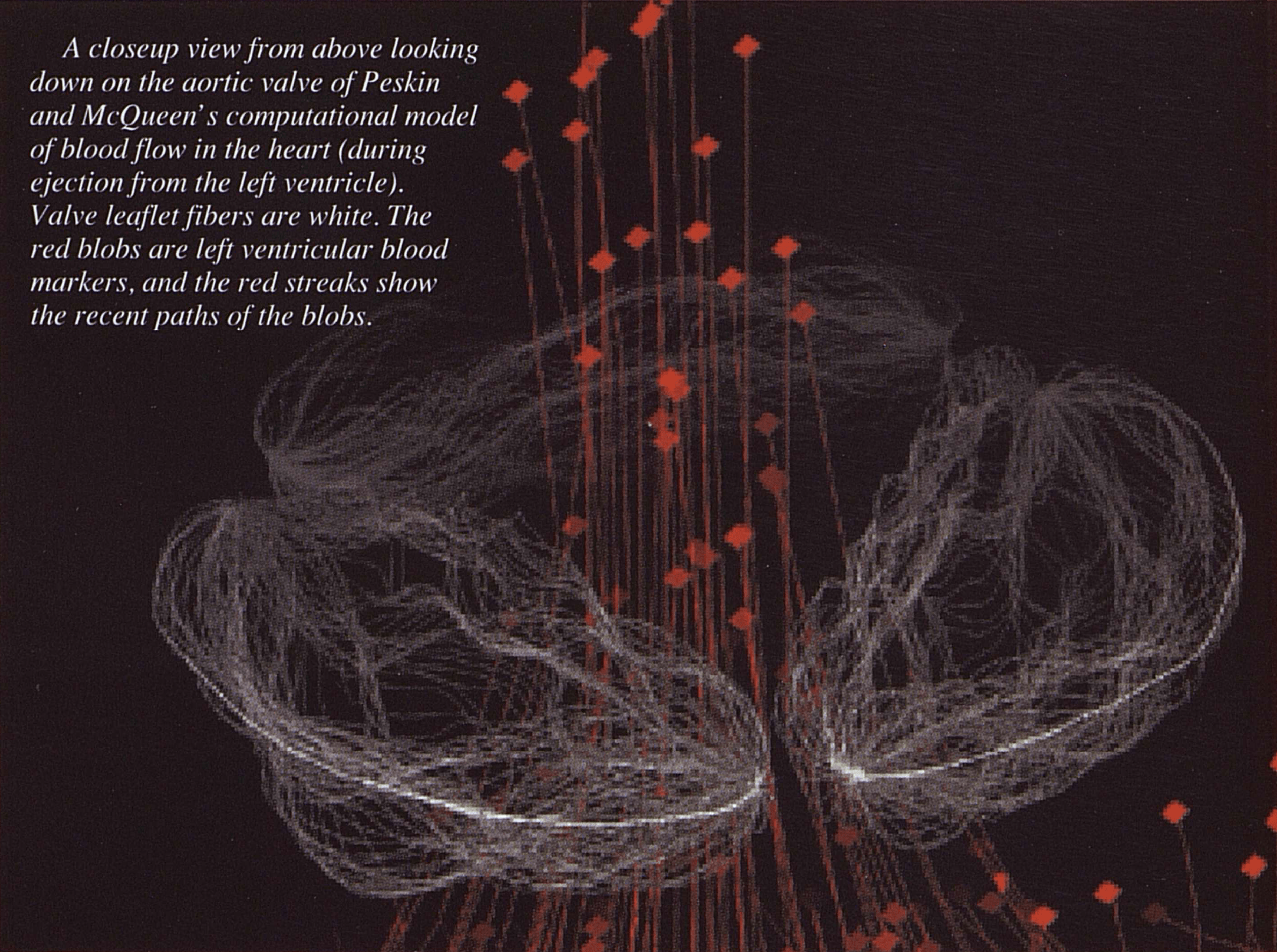 Lines and dots composing a 1990's computer simulation of an aortic valve.