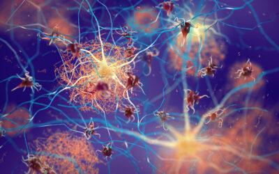 Breakthrough Discovery in Protein Folding Offers Insights into Degenerative Diseases