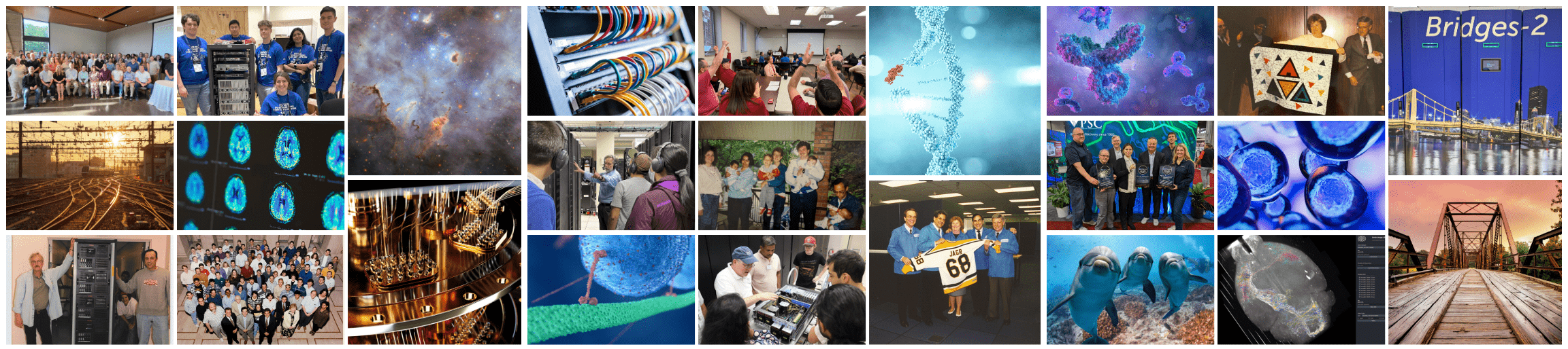 Collage of people and science images